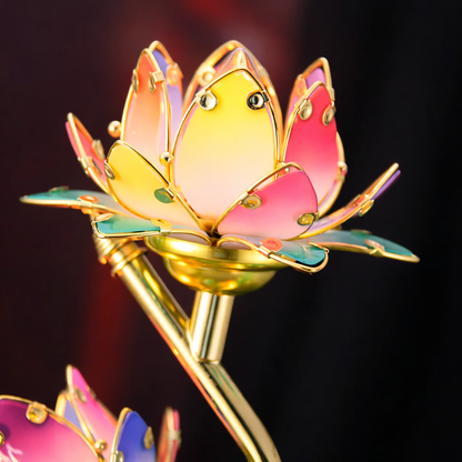 The Lotus Lamp